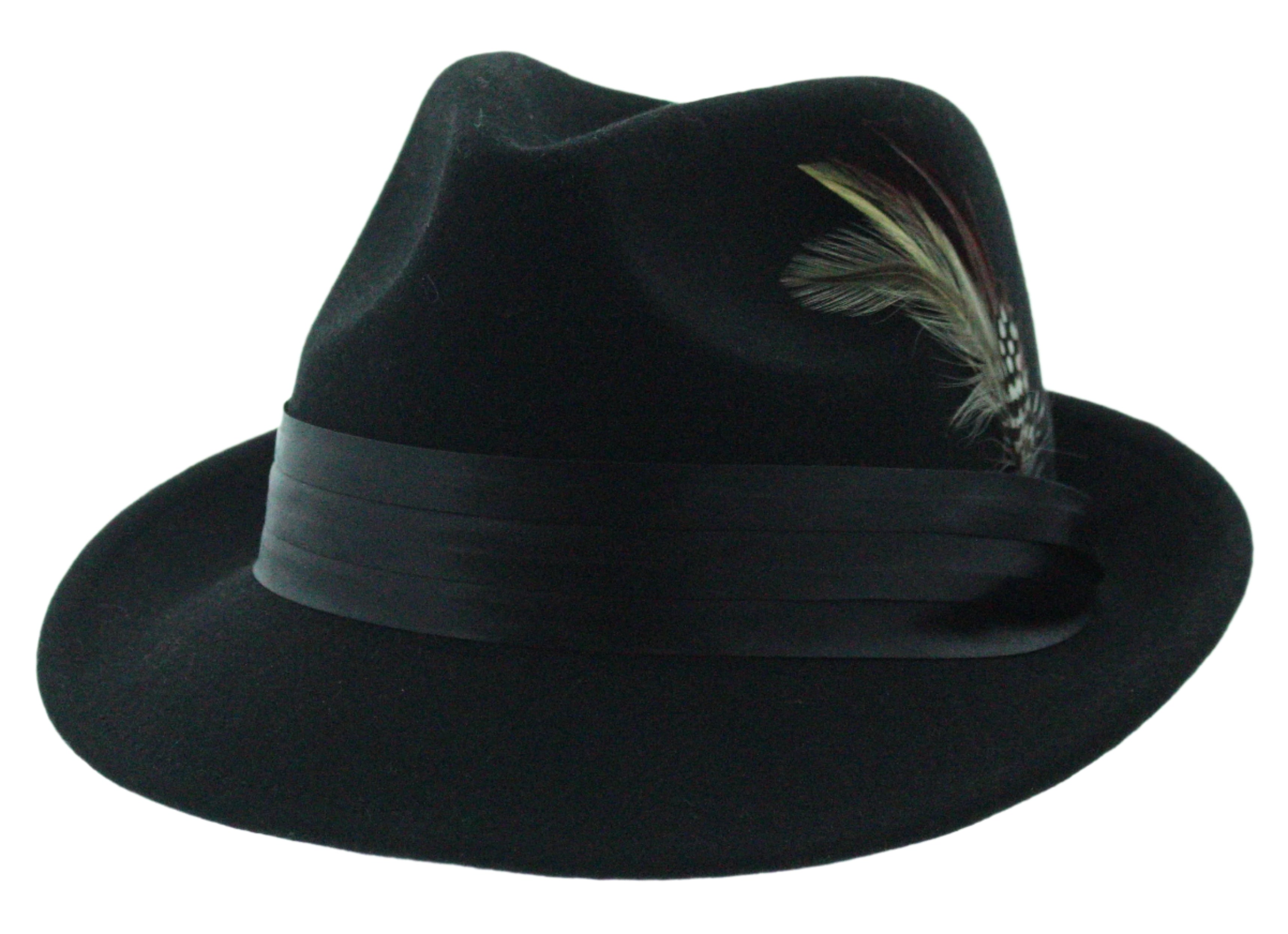 Dapper Plume Fedora