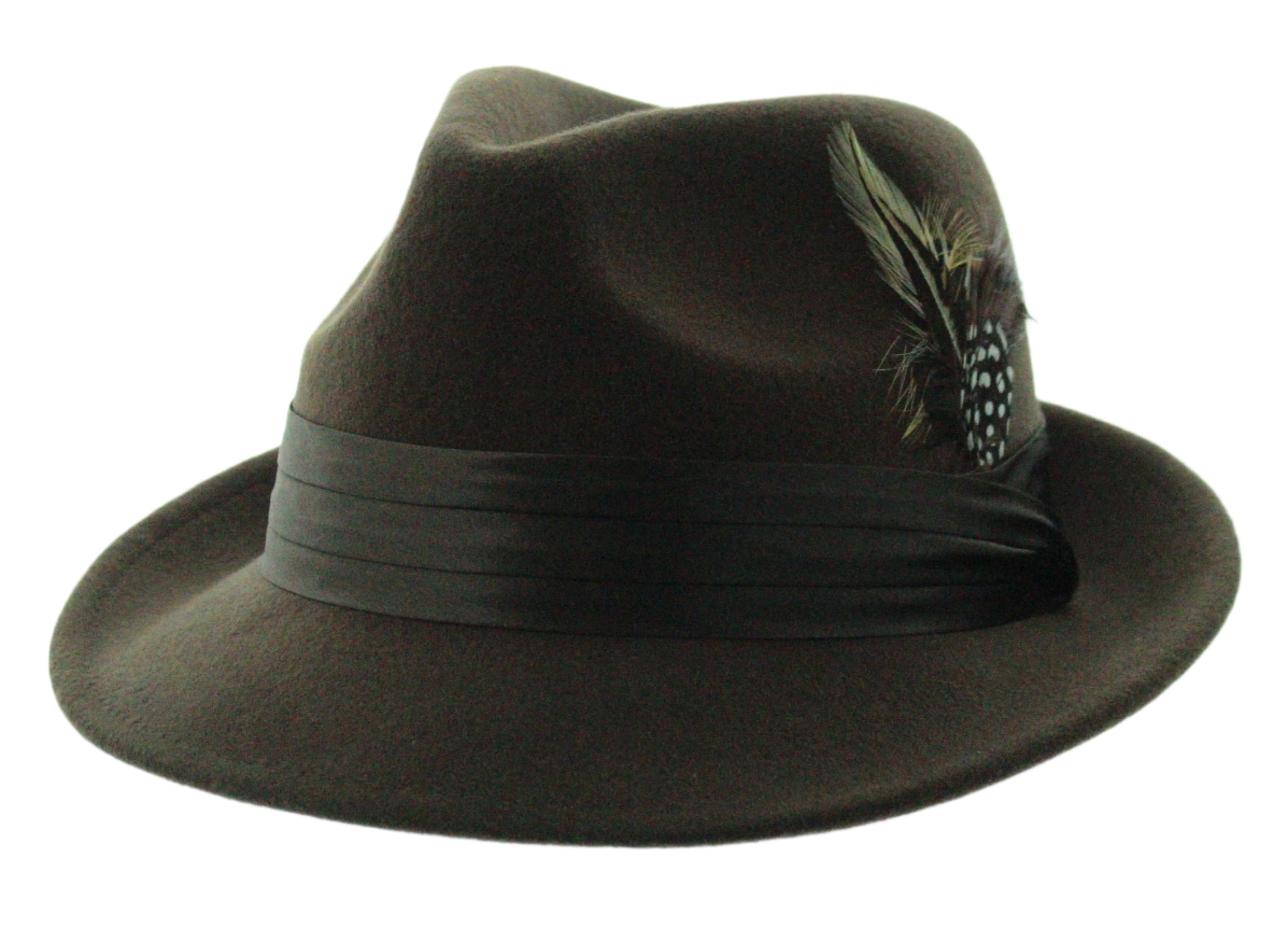 Dapper Plume Fedora