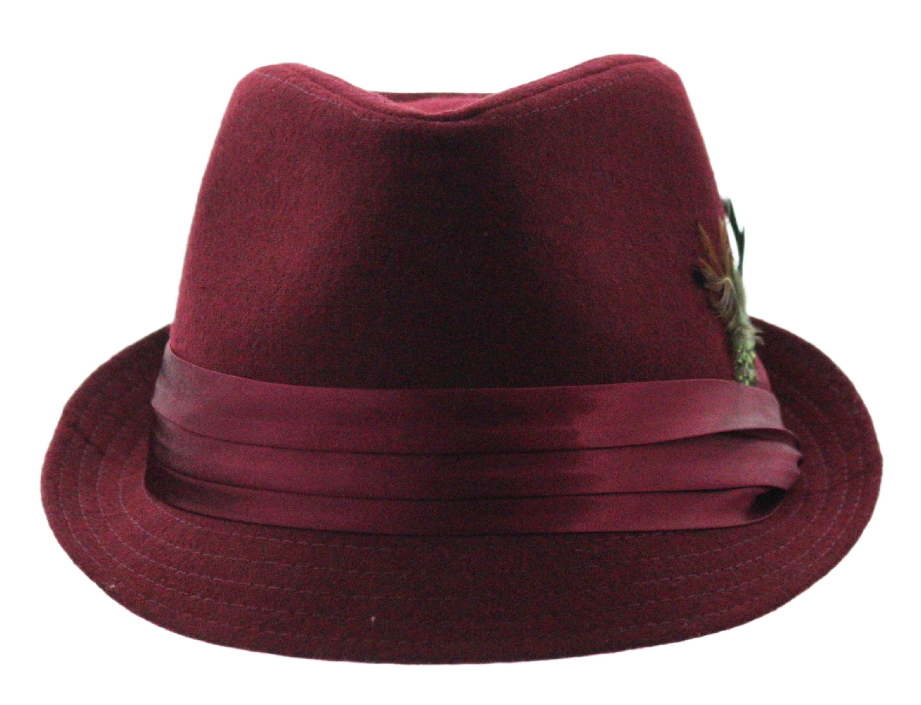 Dapper Plume Fedora
