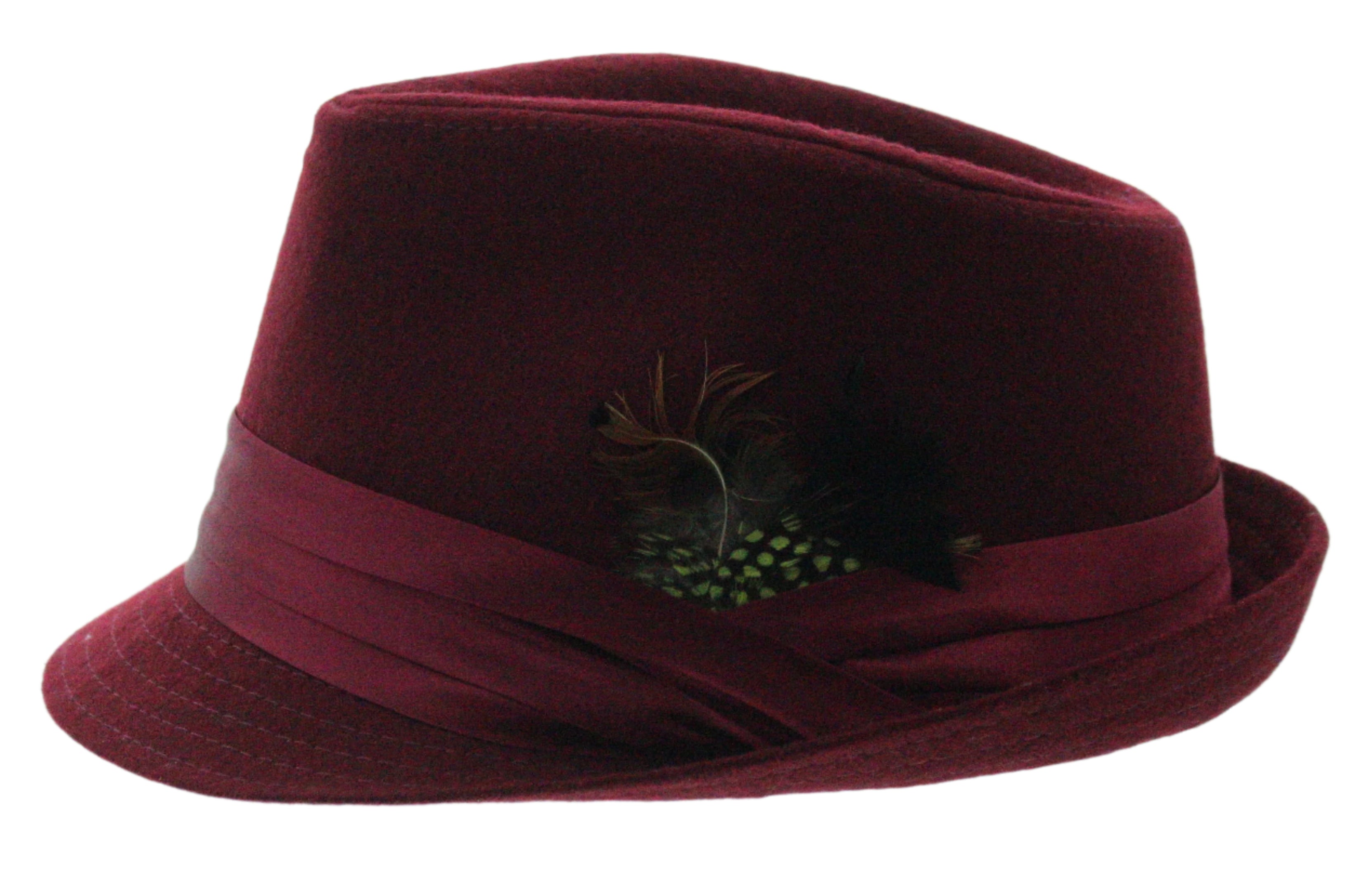 Dapper Plume Fedora