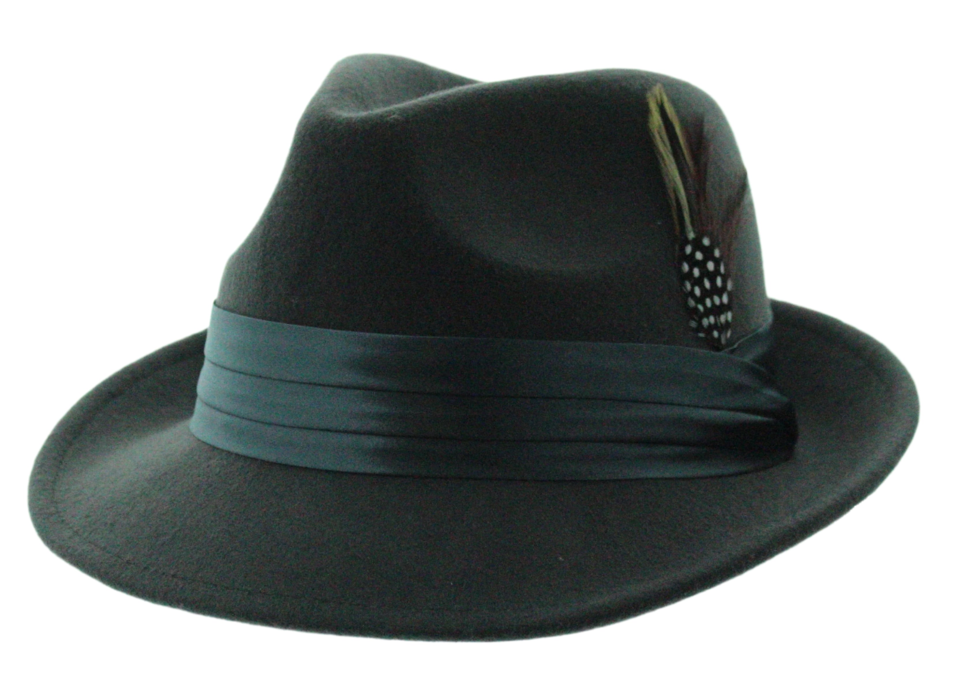 Dapper Plume Fedora