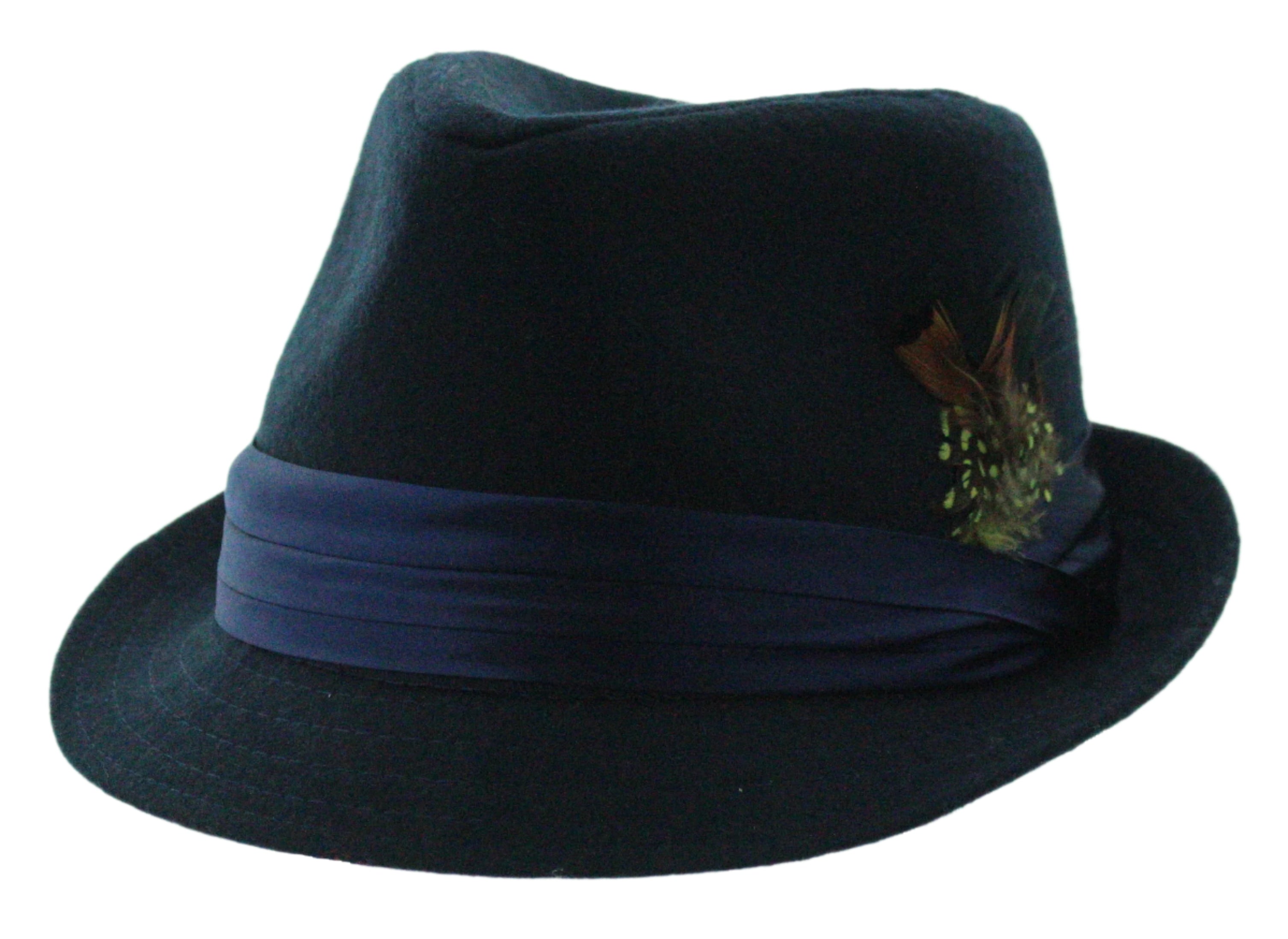 Dapper Plume Fedora
