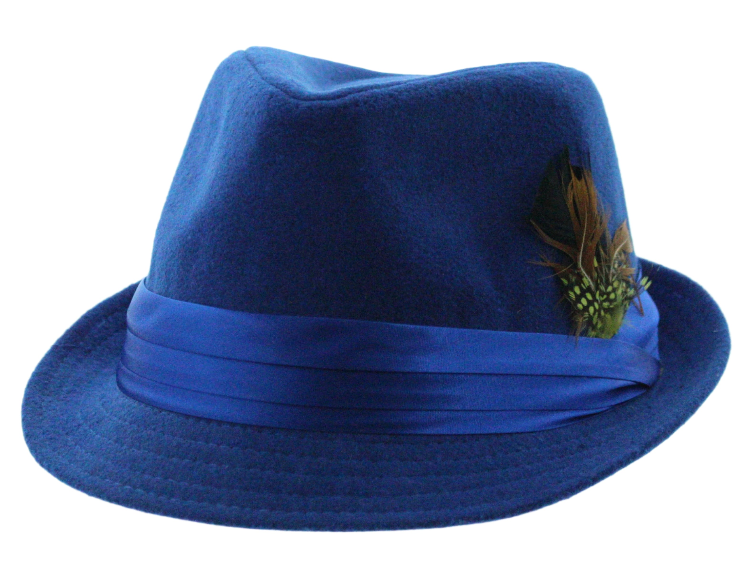 Dapper Plume Fedora