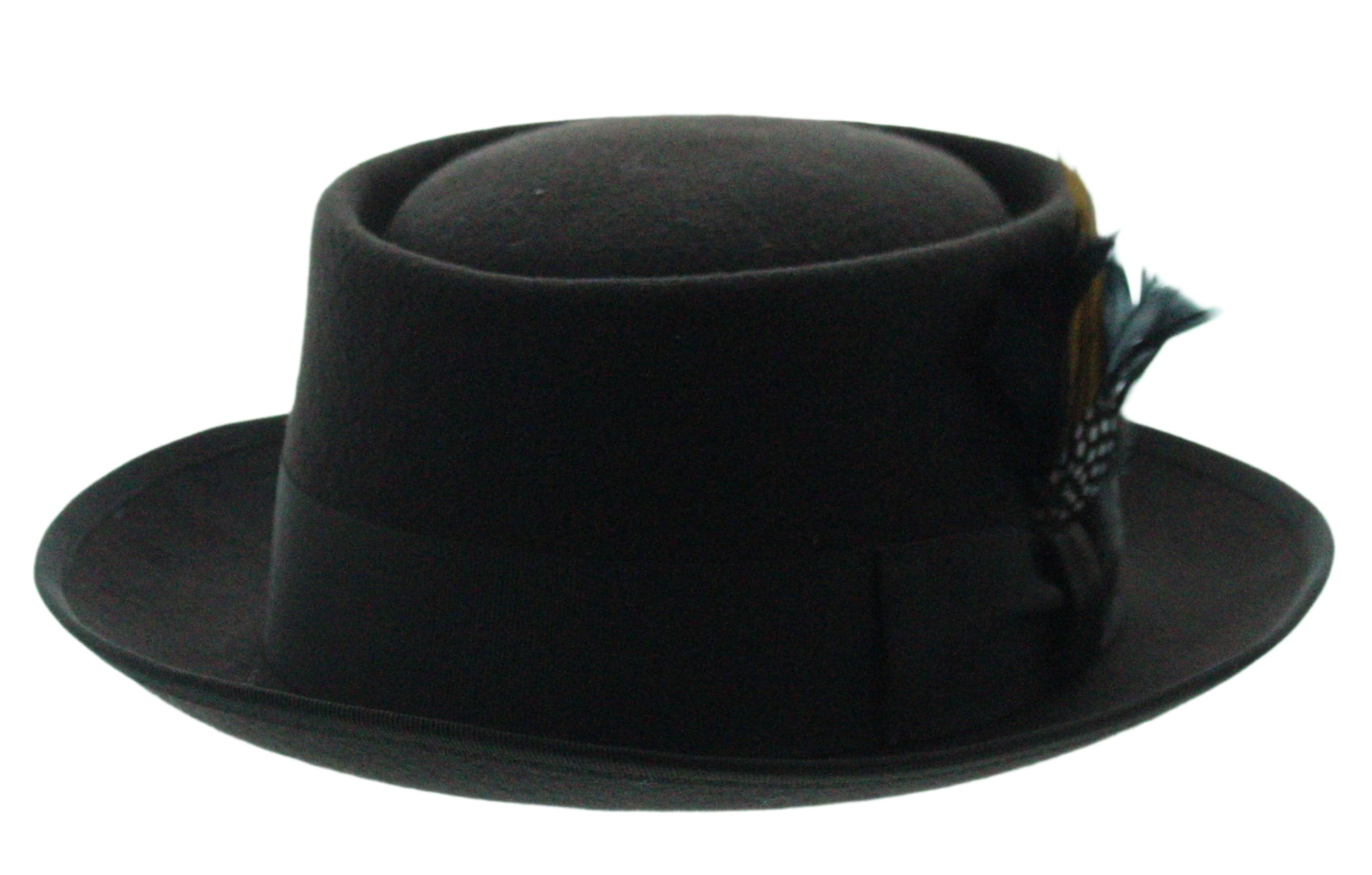 Feathered Finesses Fedora