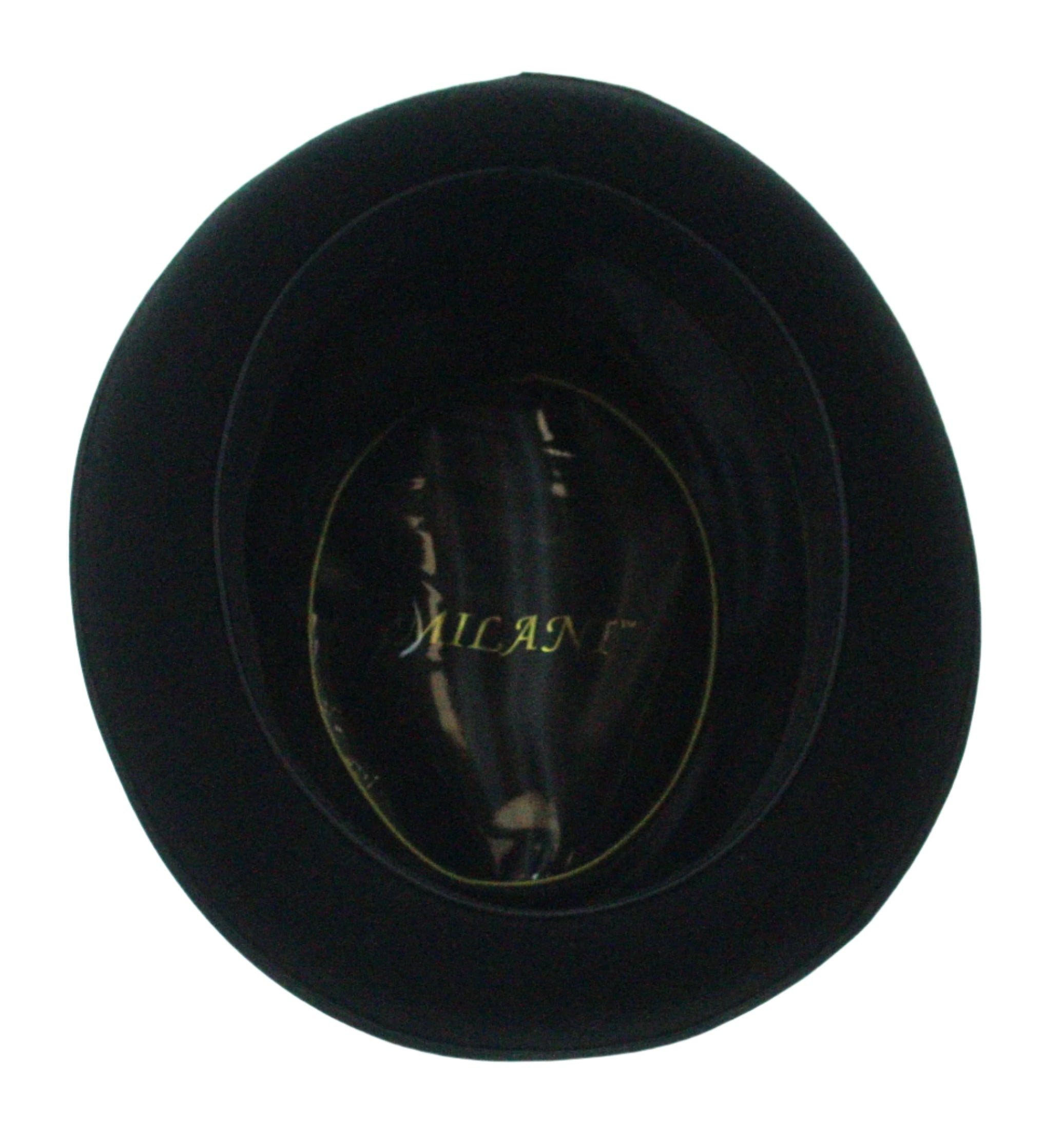 Feathered Flair Fedora