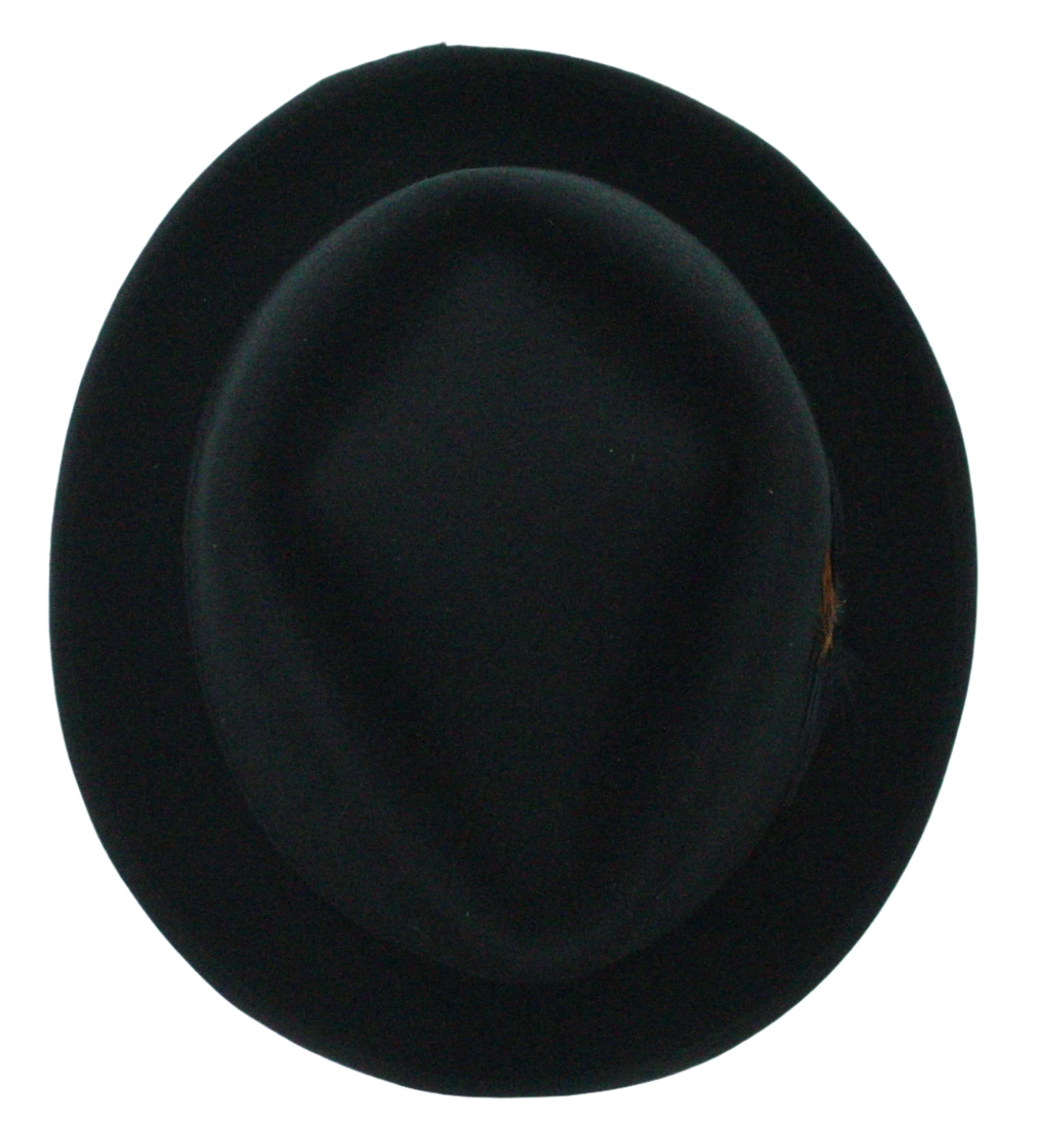 Feathered Flair Fedora