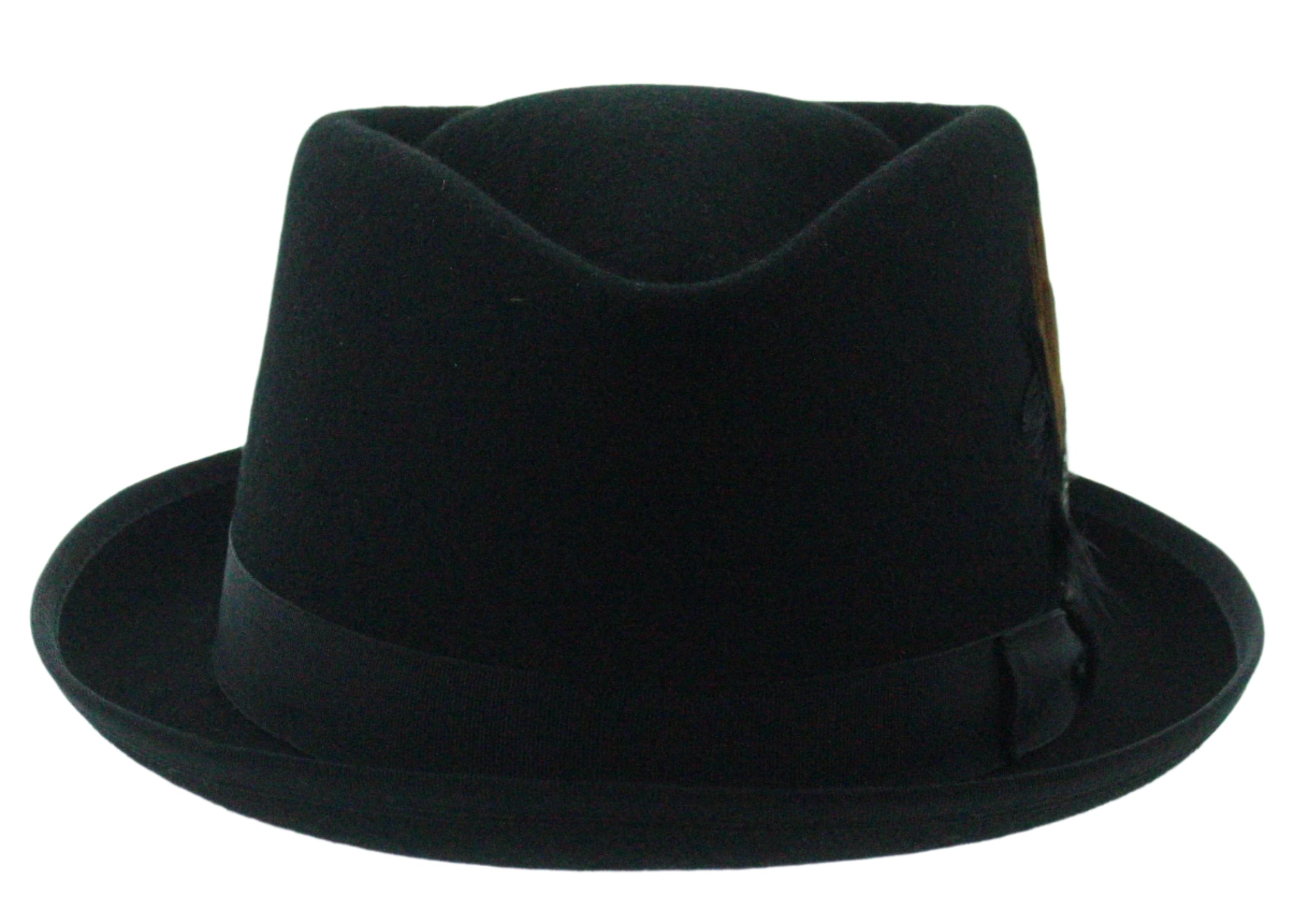 Feathered Flair Fedora