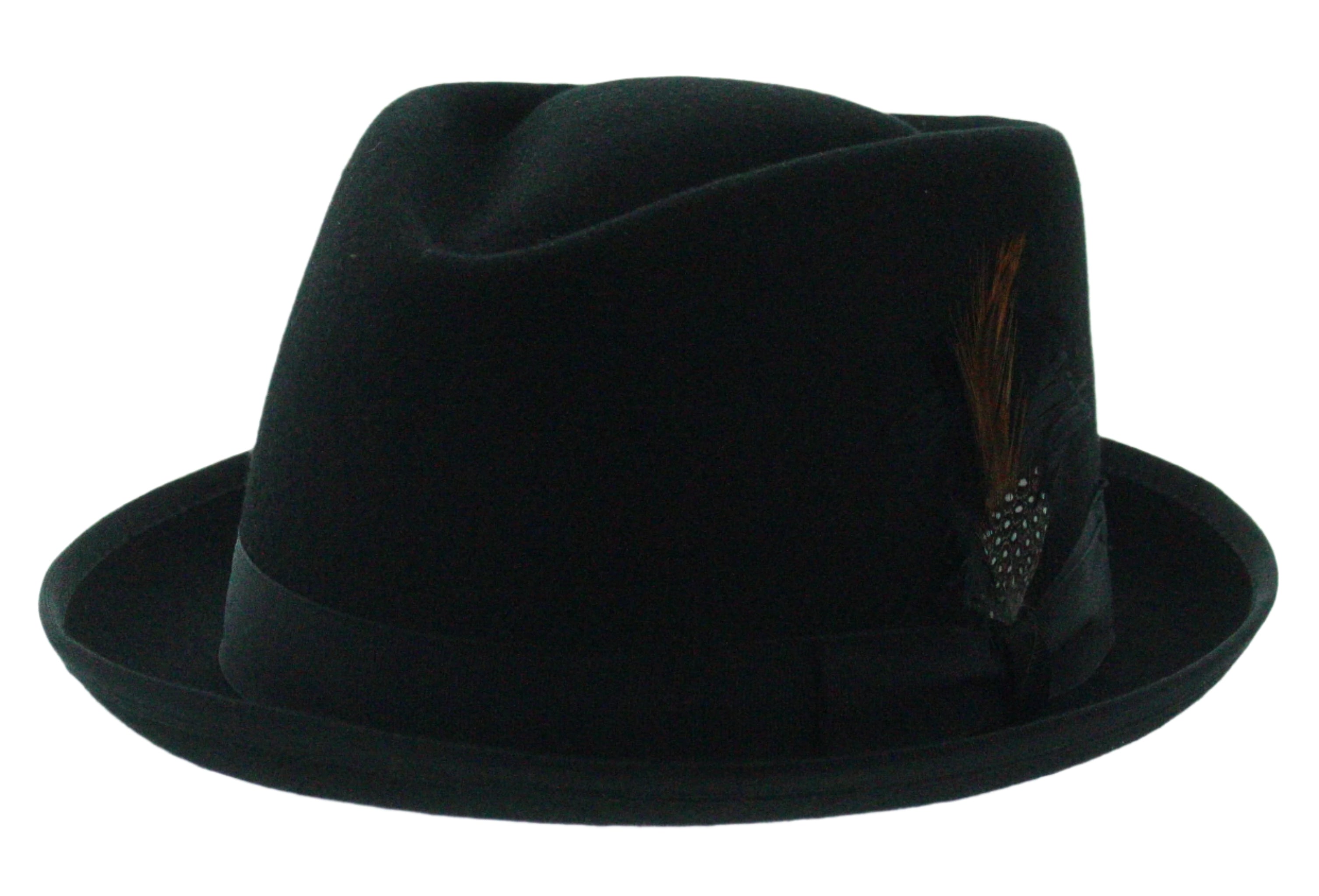 Feathered Flair Fedora