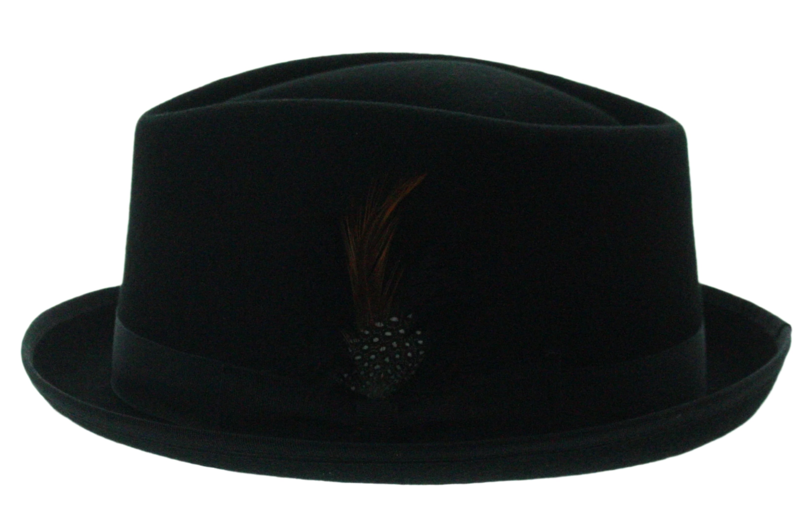 Feathered Flair Fedora