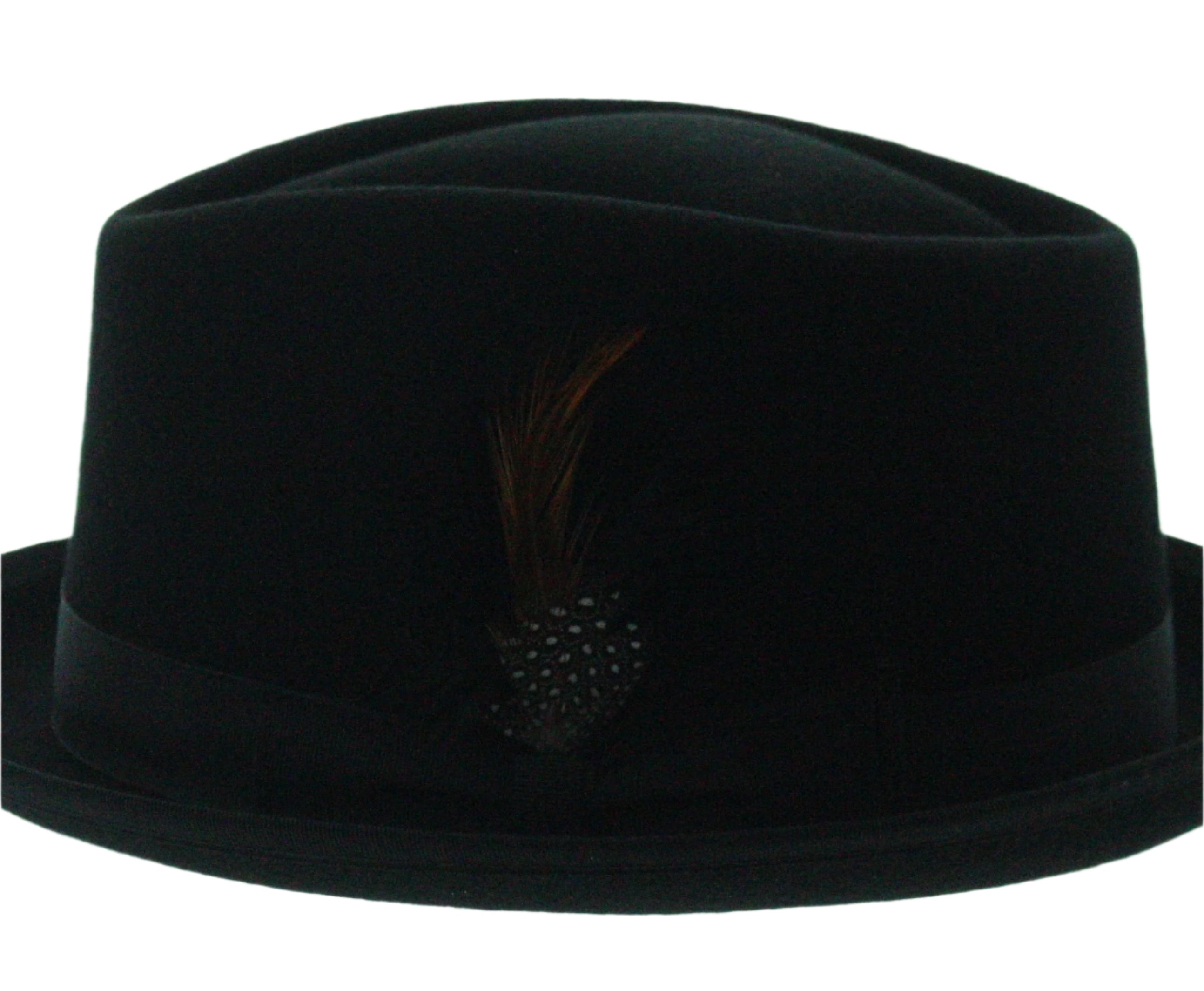 Feathered Flair Fedora