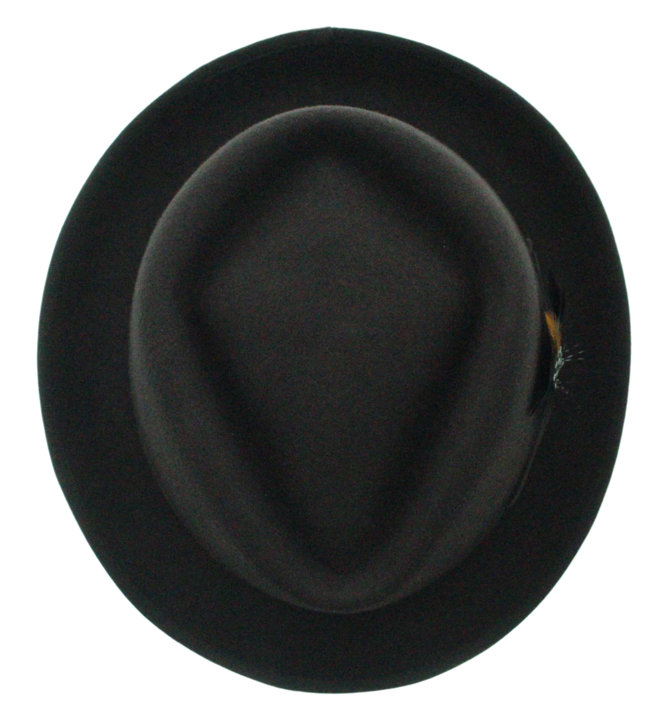 Feathered Flair Fedora