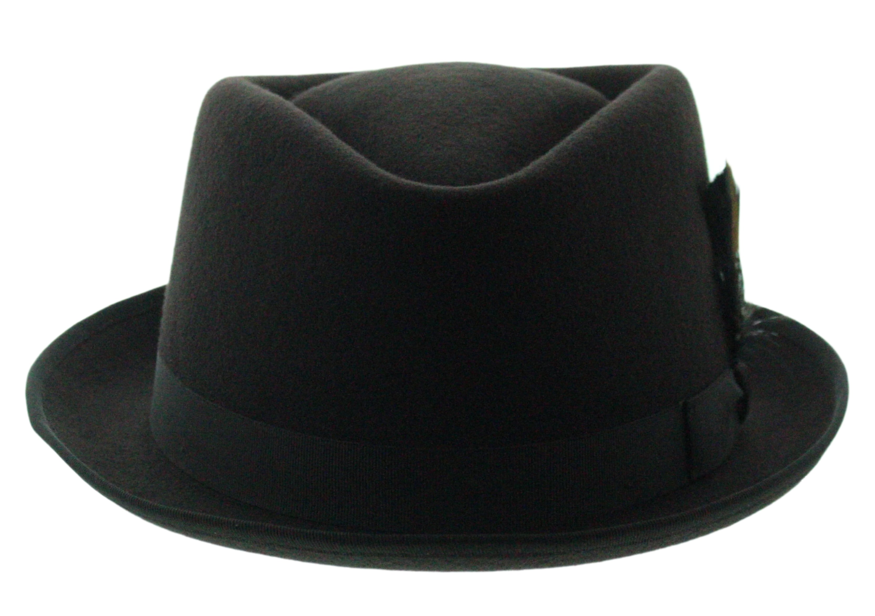 Feathered Flair Fedora