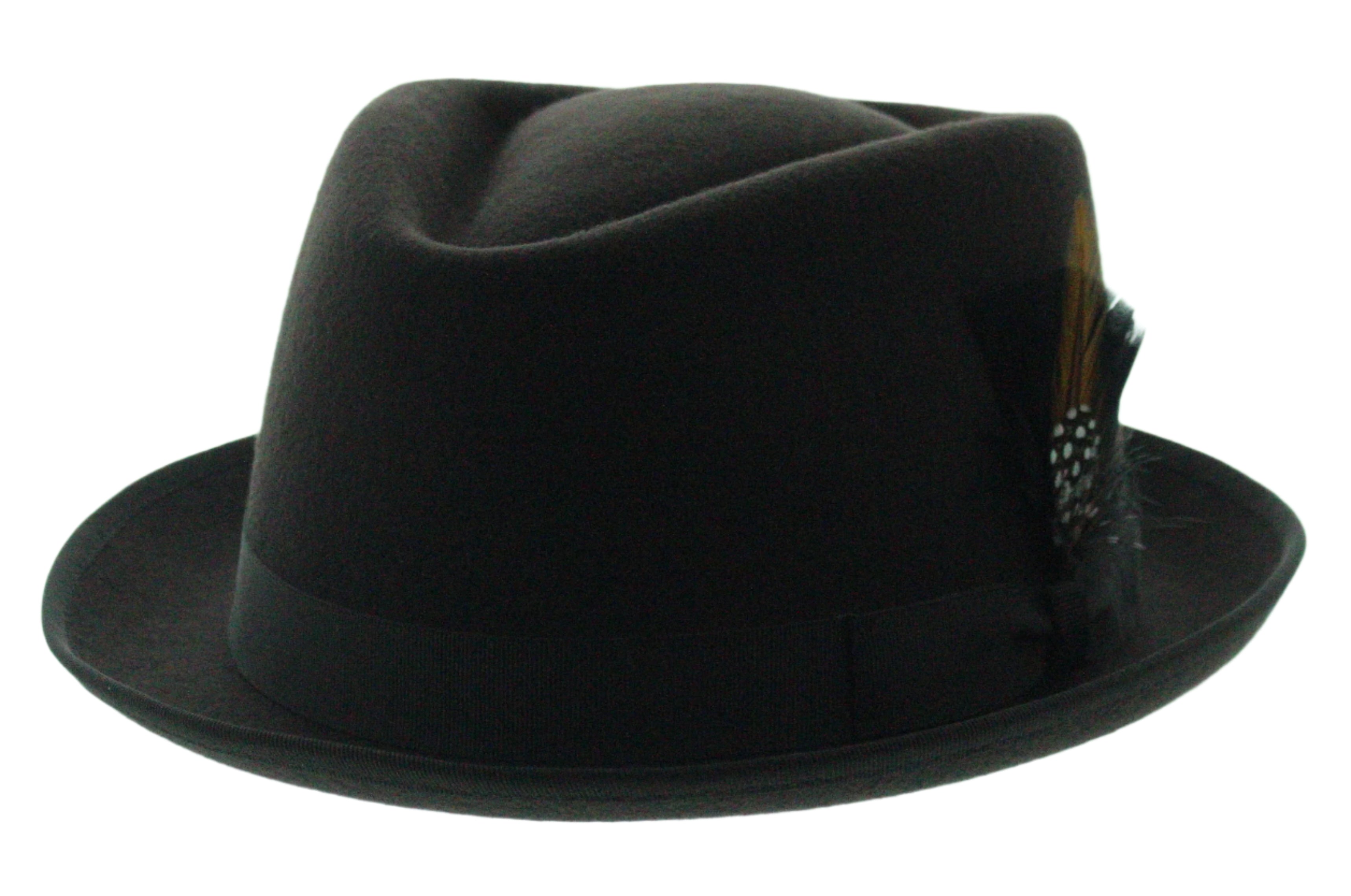 Feathered Flair Fedora