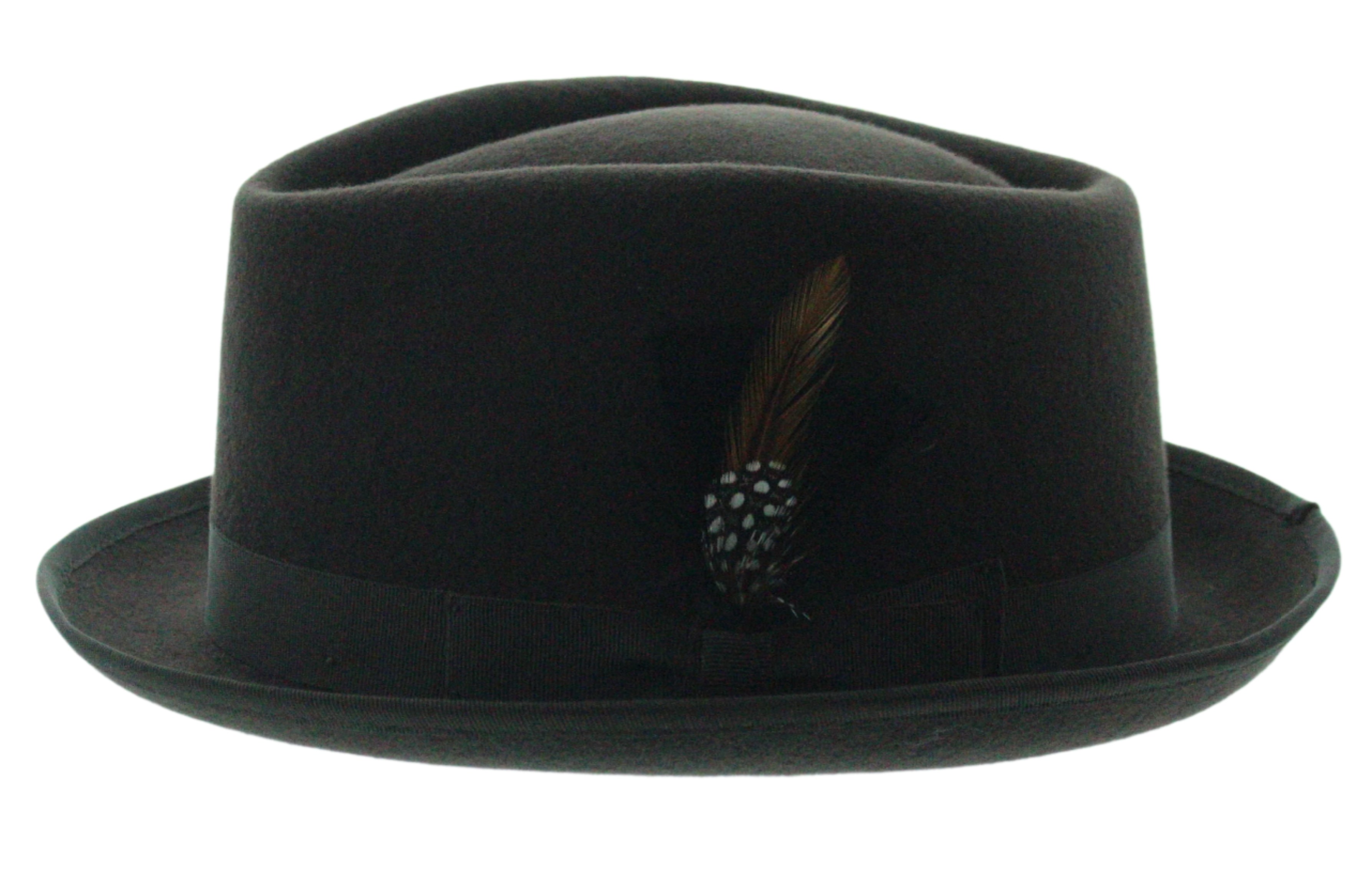 Feathered Flair Fedora