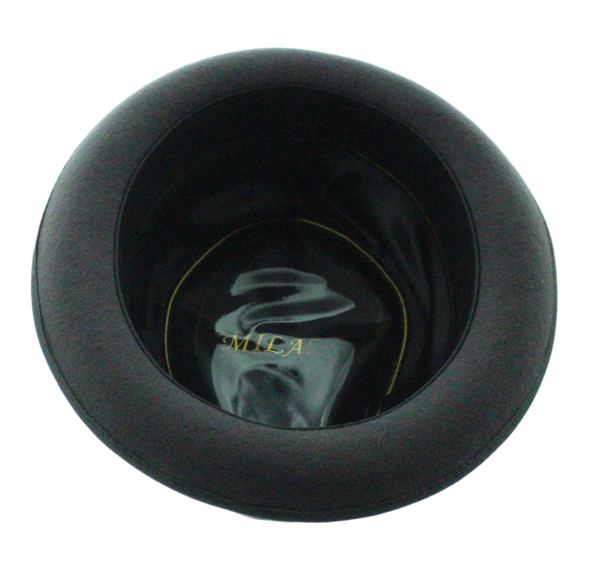 Feathered Flair Fedora