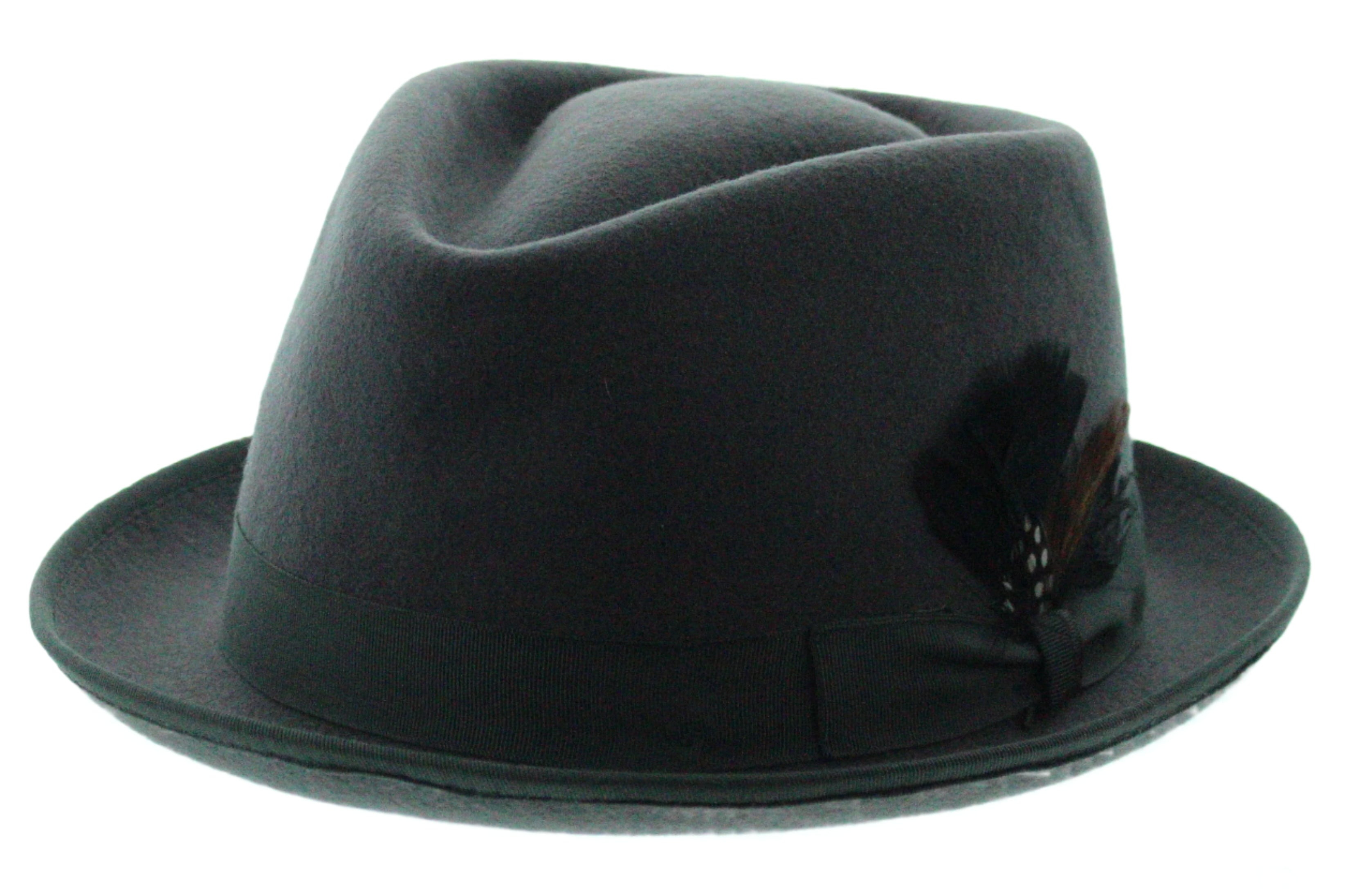 Feathered Flair Fedora