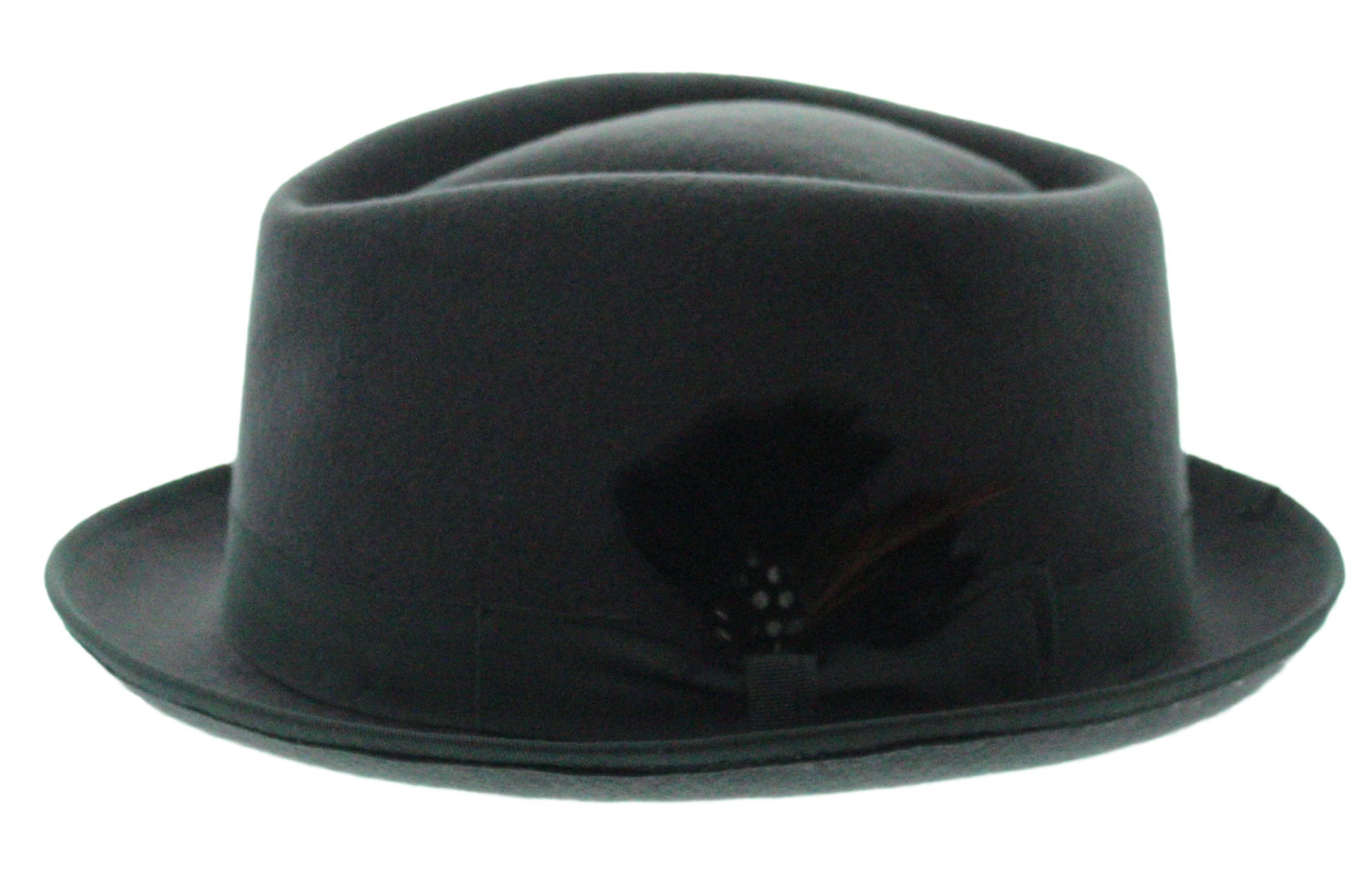 Feathered Flair Fedora