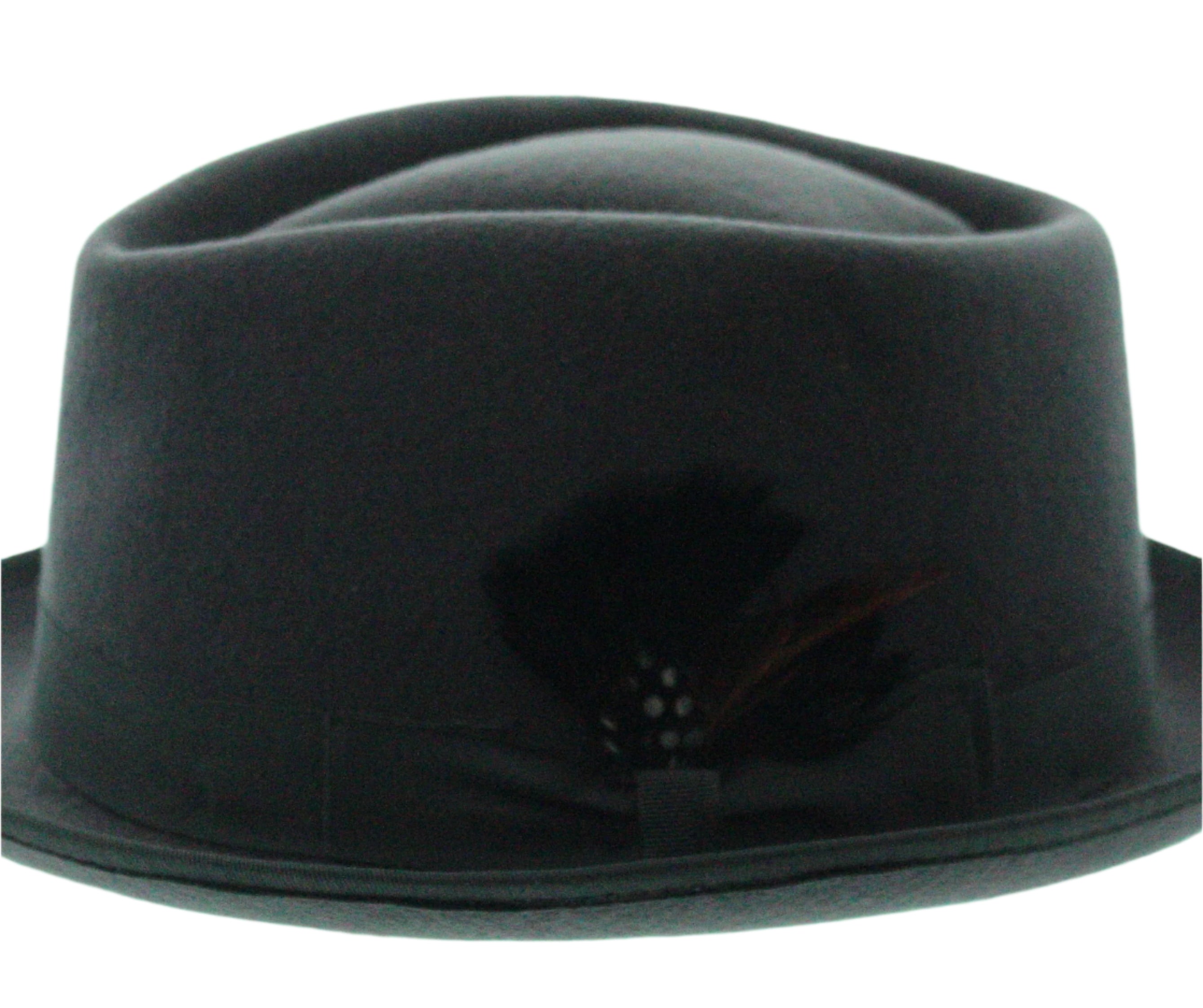 Feathered Flair Fedora