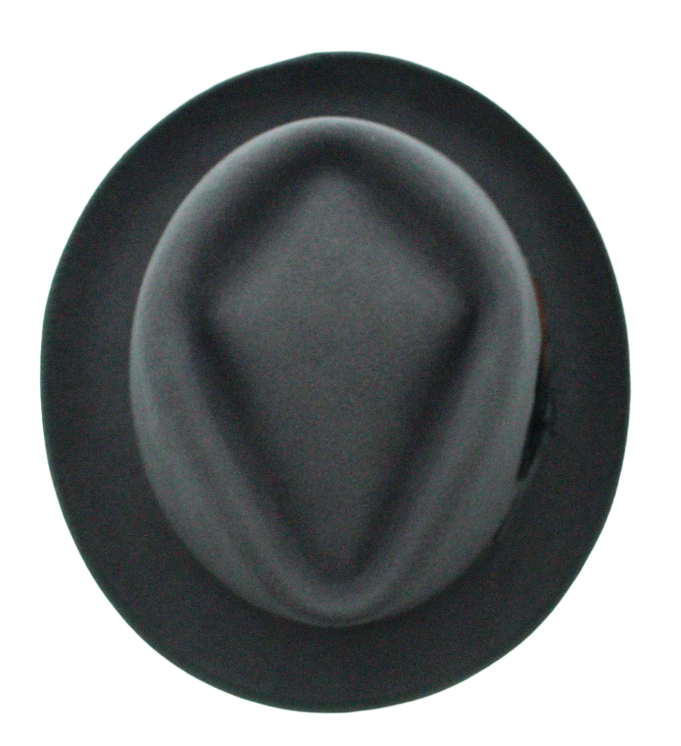 Feathered Flair Fedora