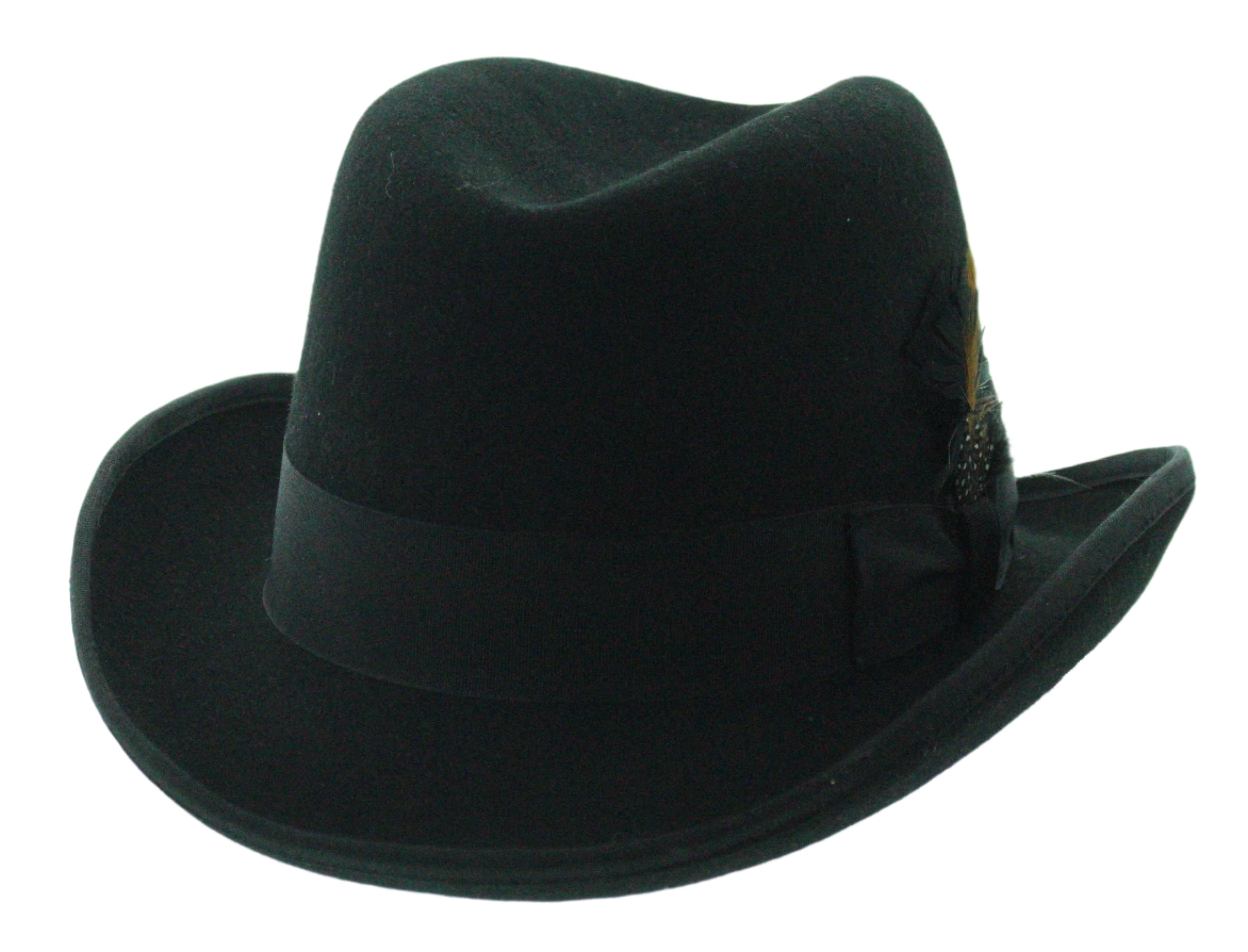 Feathered Edge Fedora