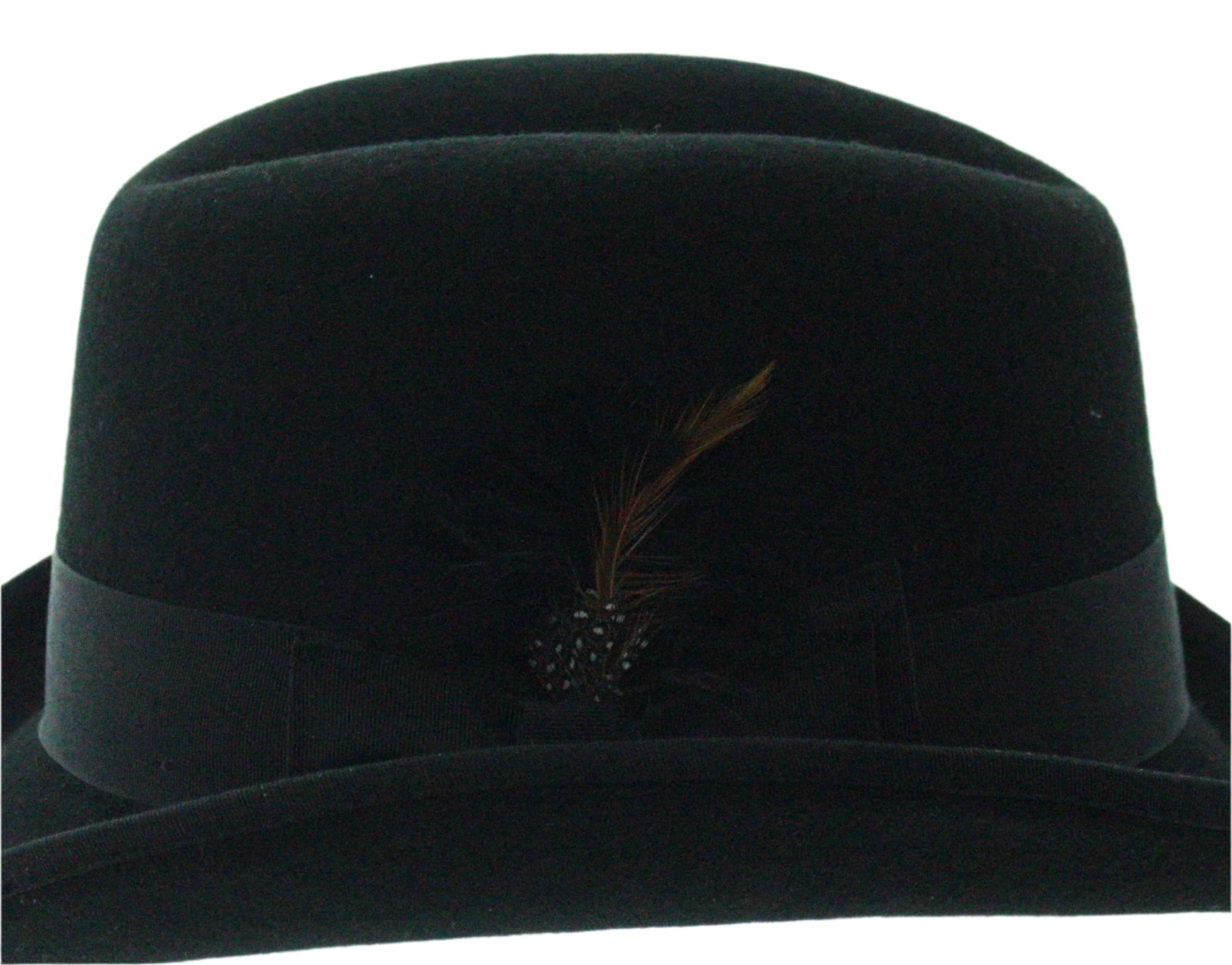 Feathered Edge Fedora