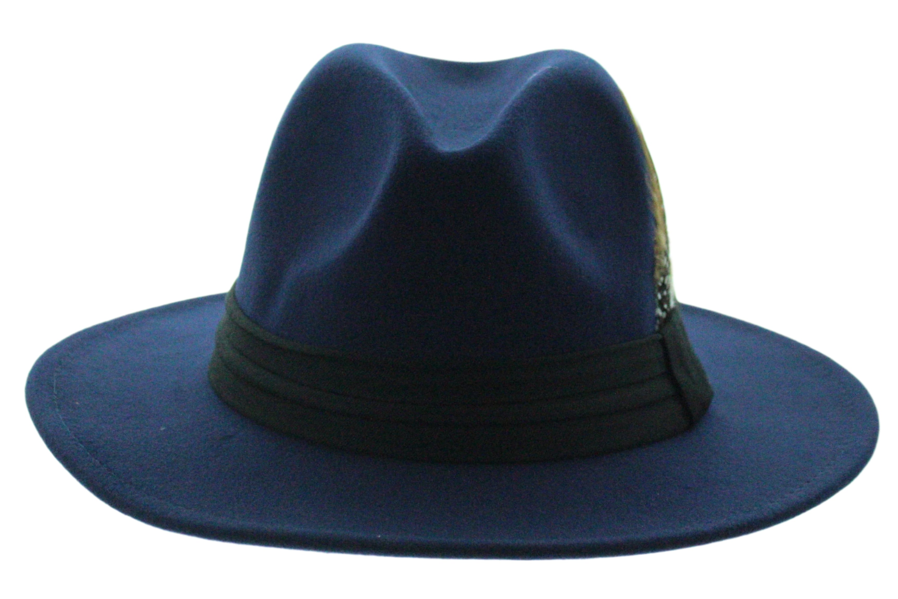 Midnight Plume Fedora