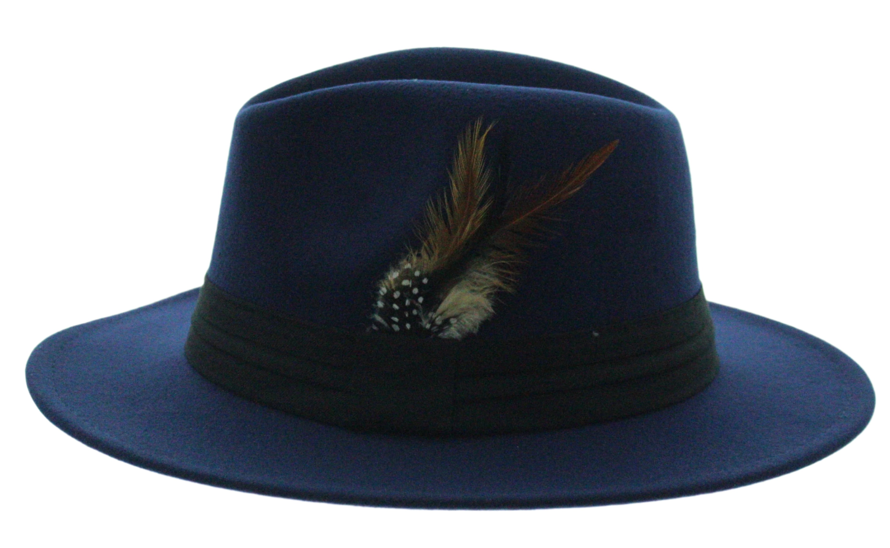 Midnight Plume Fedora