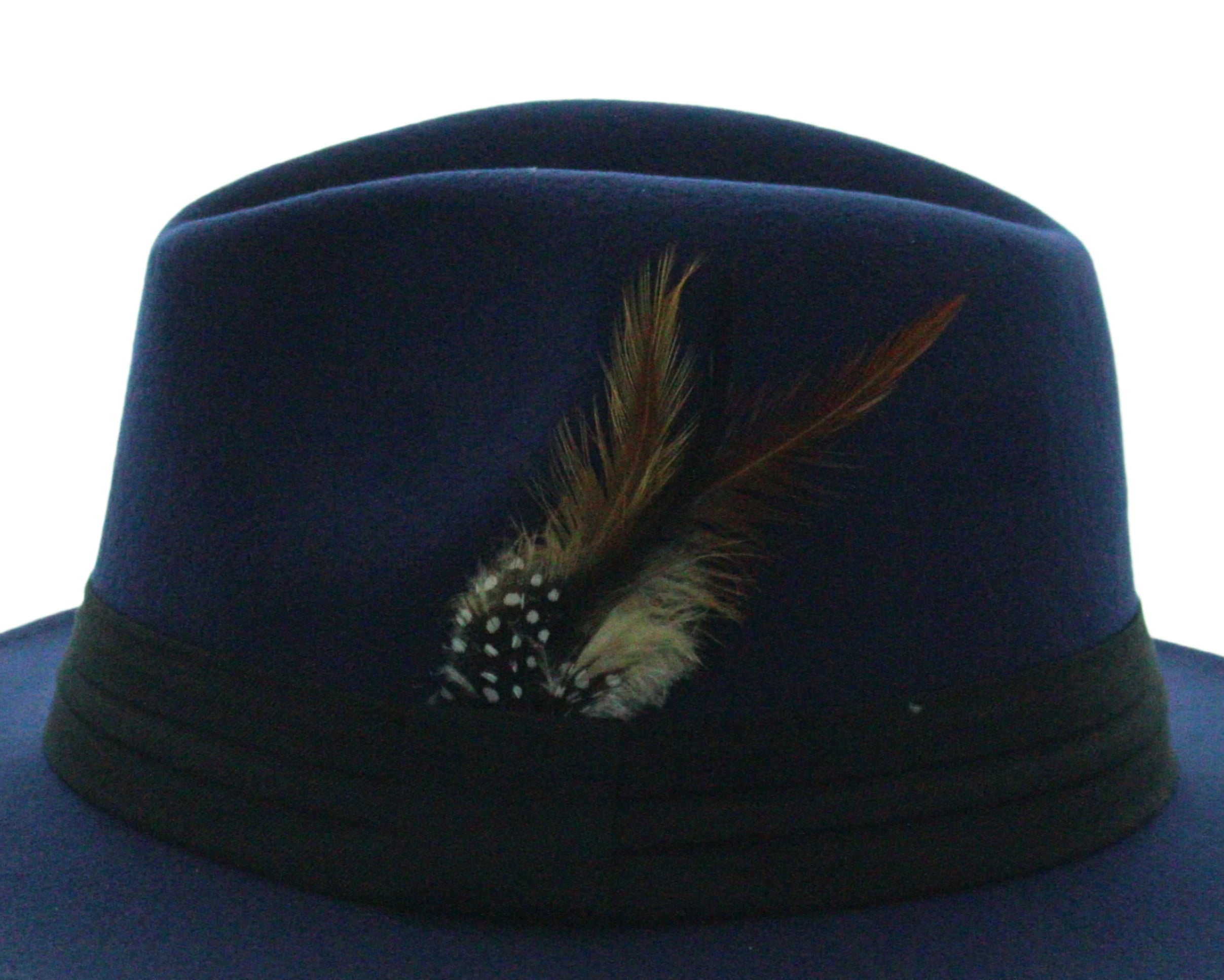 Midnight Plume Fedora