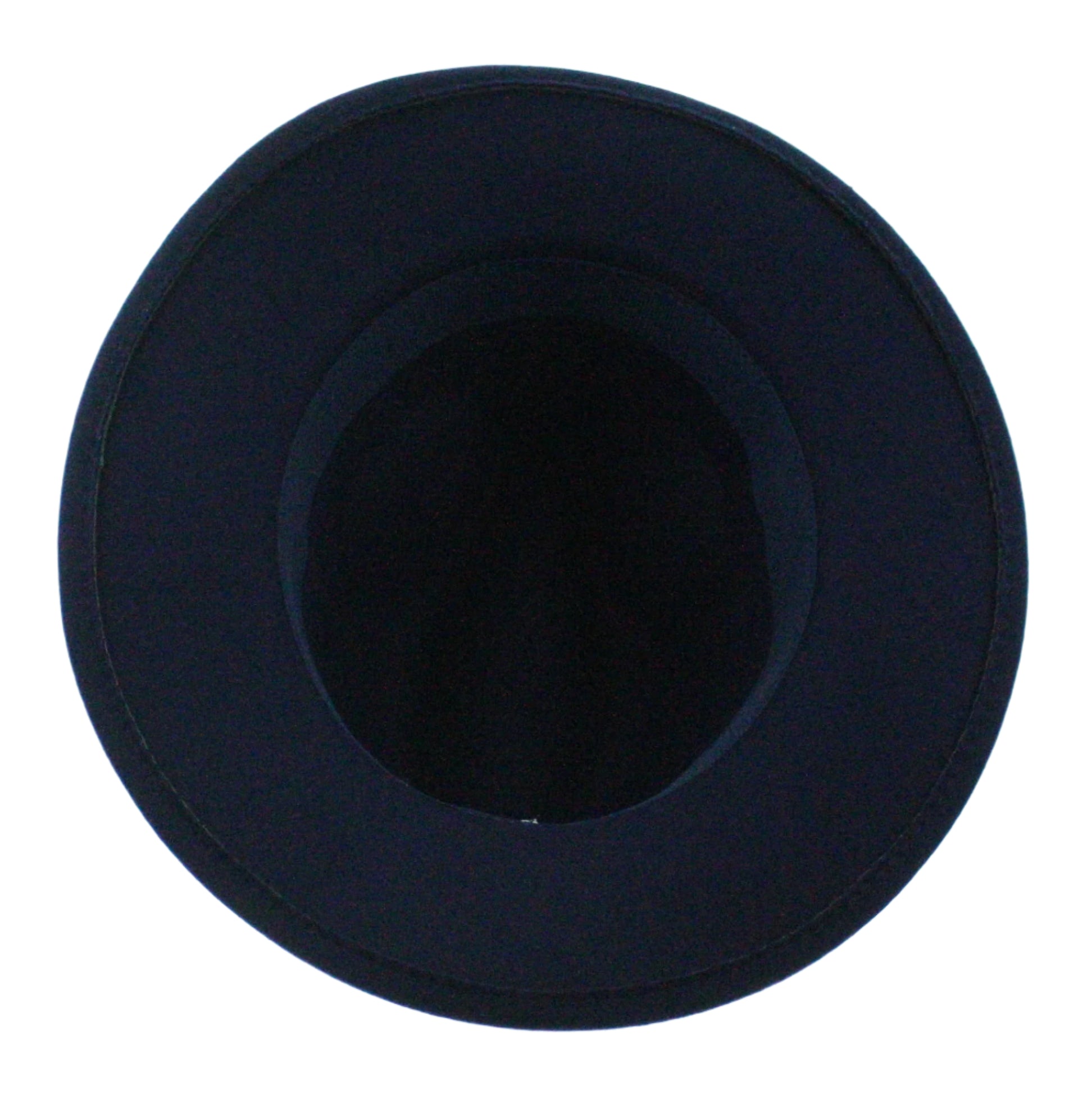 Midnight Plume Fedora