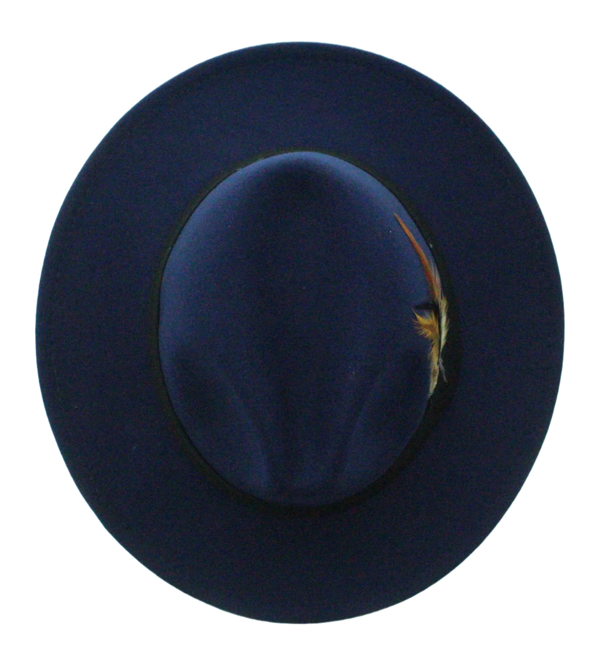 Midnight Plume Fedora