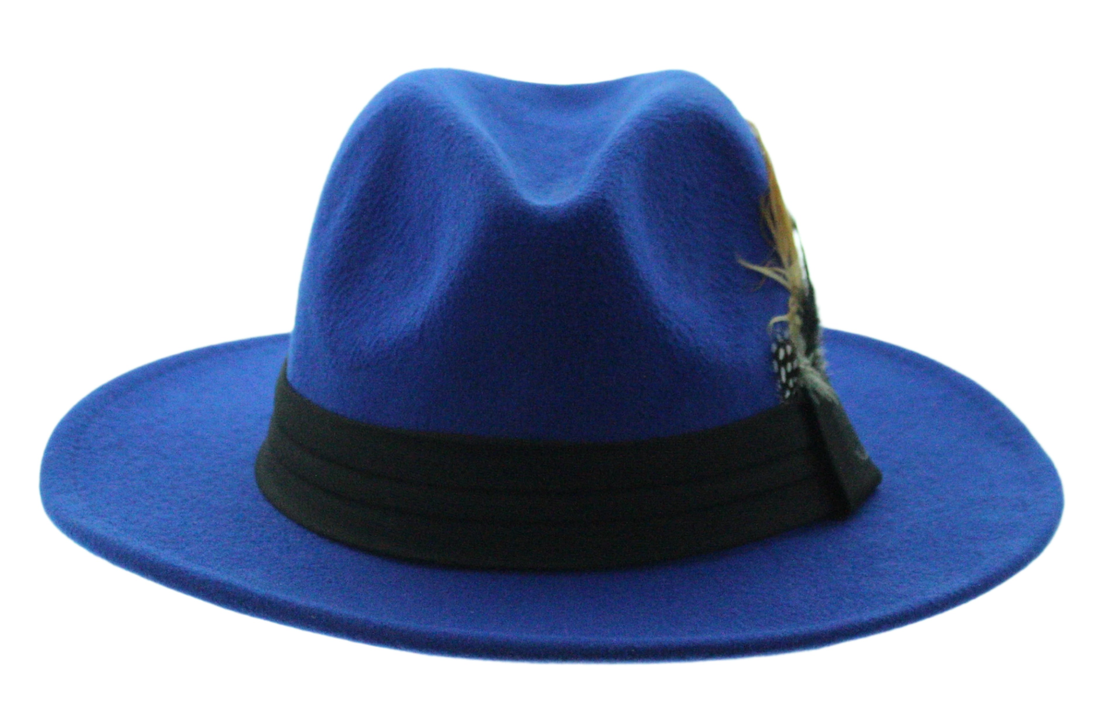 Midnight Plume Fedora