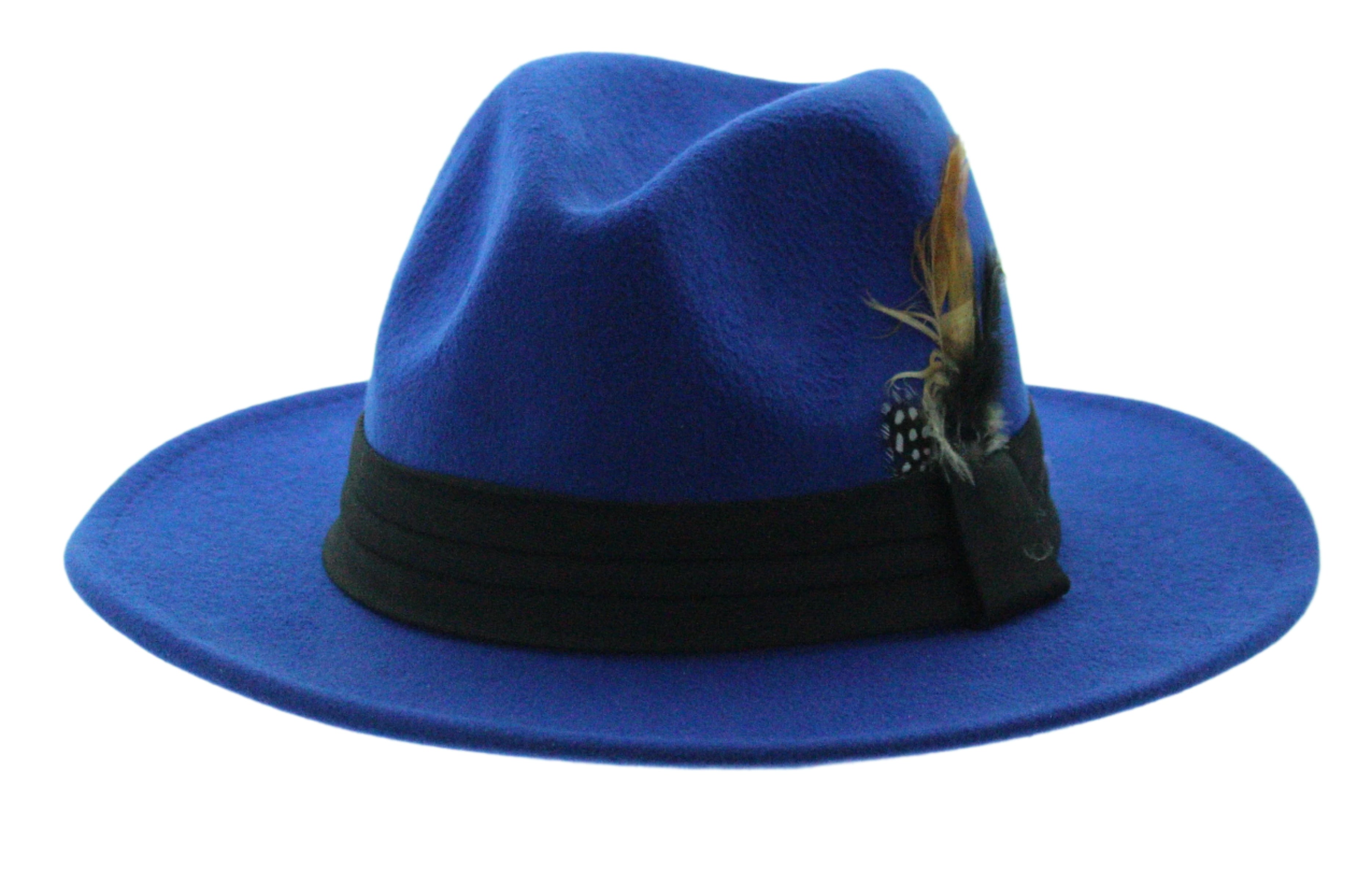 Midnight Plume Fedora