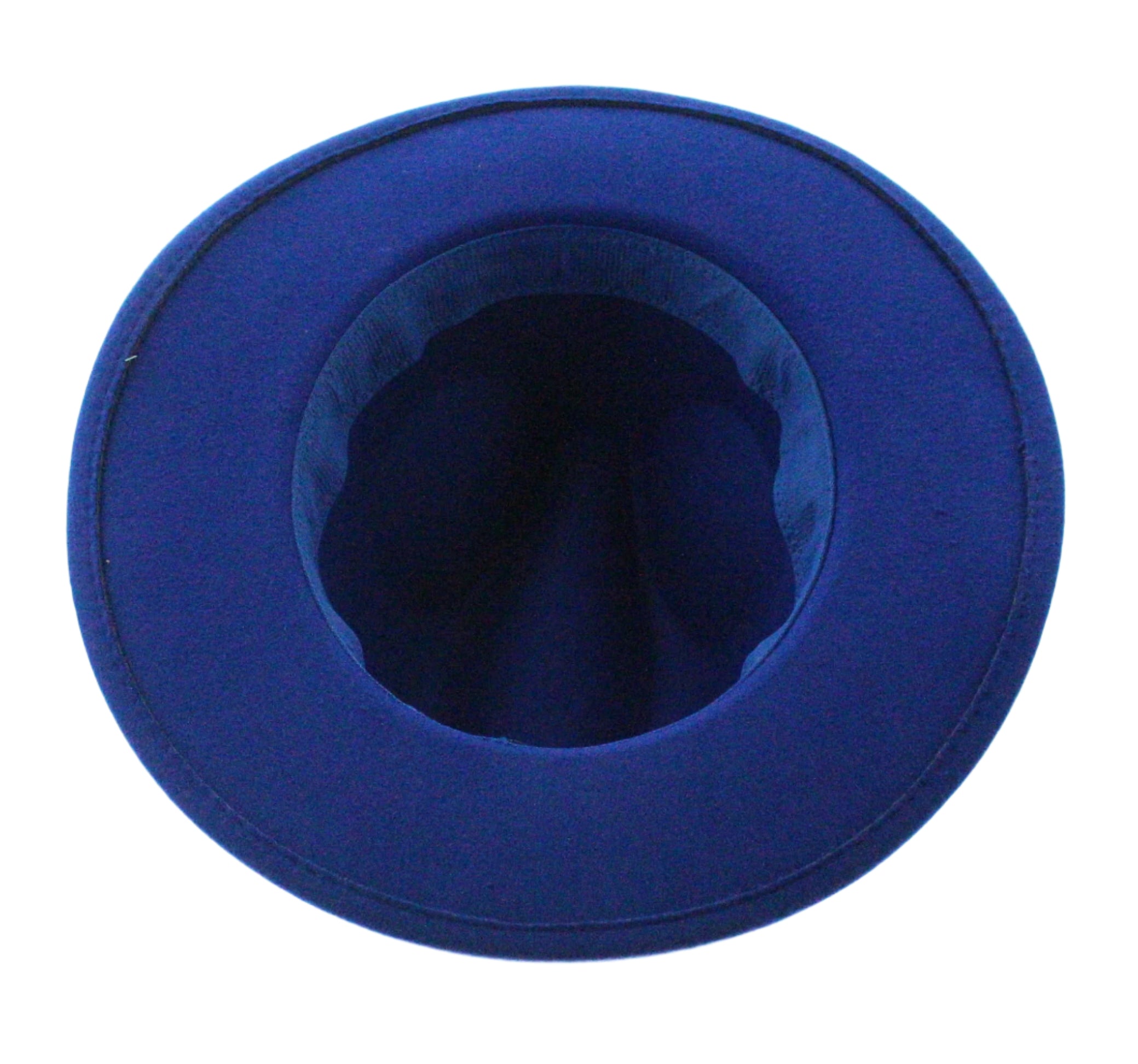 Midnight Plume Fedora